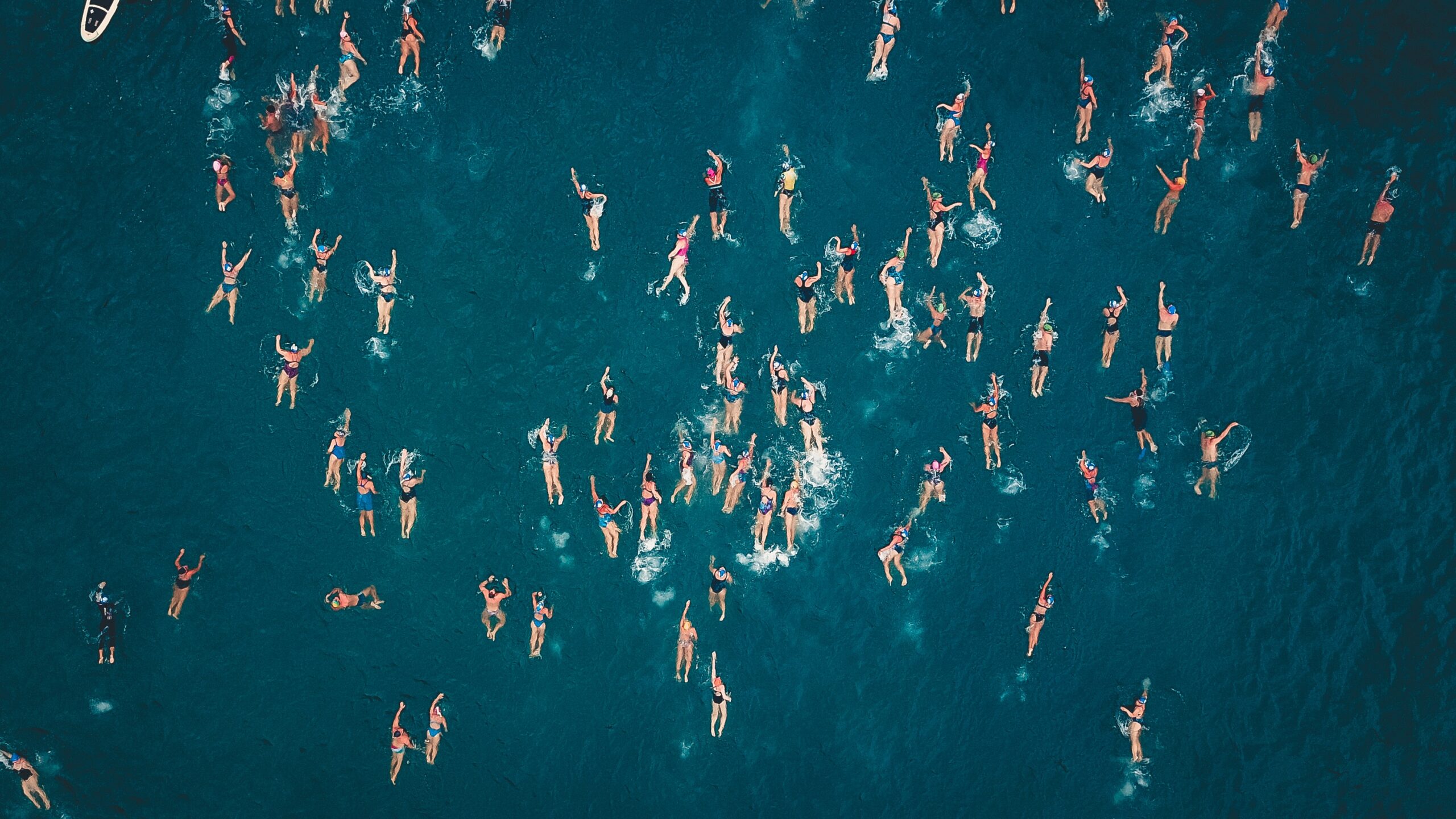 picture of people swimming